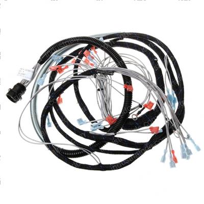 Picture of Harness