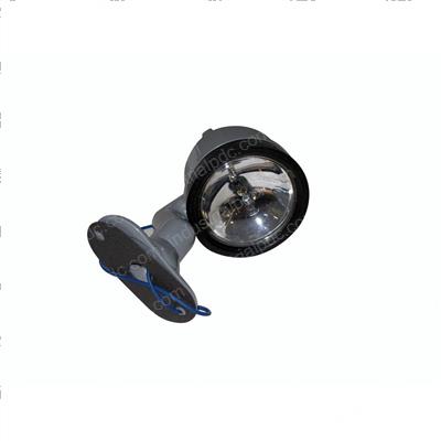 Picture of Light - Spot Par 36 Halogen