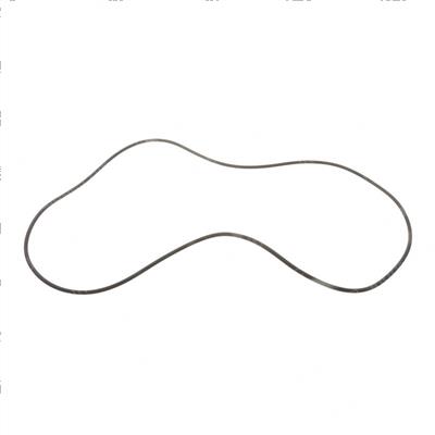 Picture of O-Ring