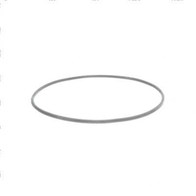 Picture of O-Ring