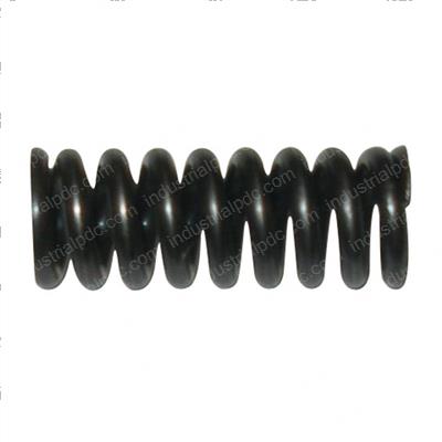Picture of Spring - Lock