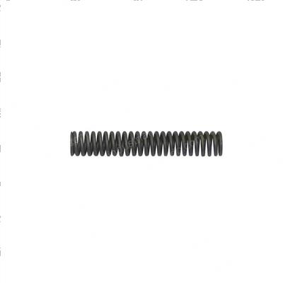 Picture of Spring - Lock