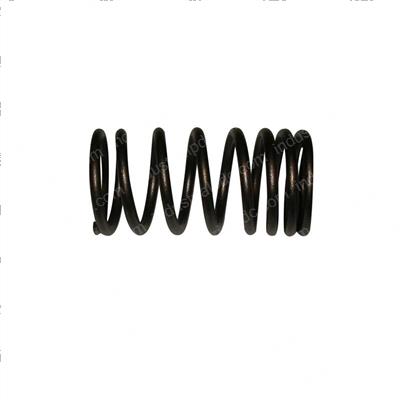 Picture of Spring - Valve Inner