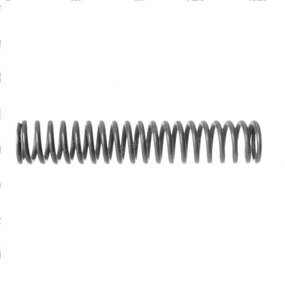 Picture of Spring - Piston