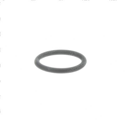 Picture of O-Ring