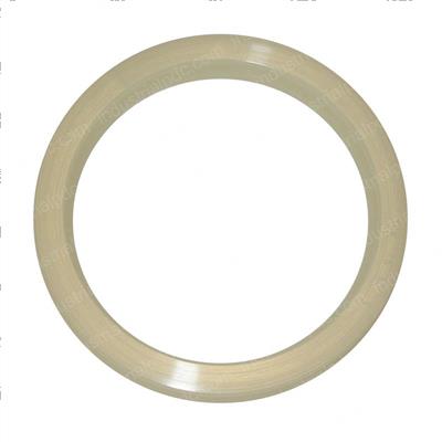 Picture of Seal - Ucup