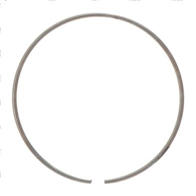 Picture of Ring - Snap