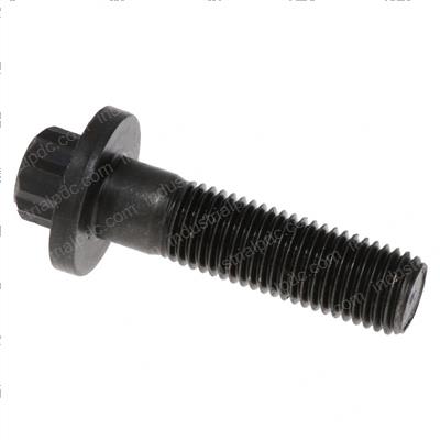 Picture of Bolt