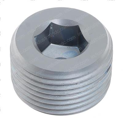 Picture of Plug - Taper