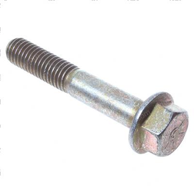 Picture of Bolt
