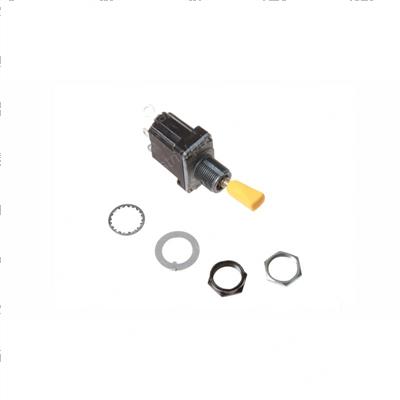 Picture of Switch - Toggle