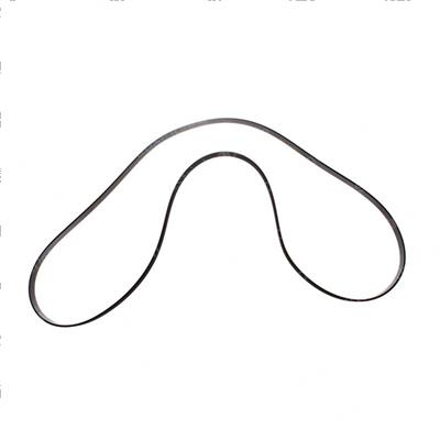 Picture of Belt - Serpentine