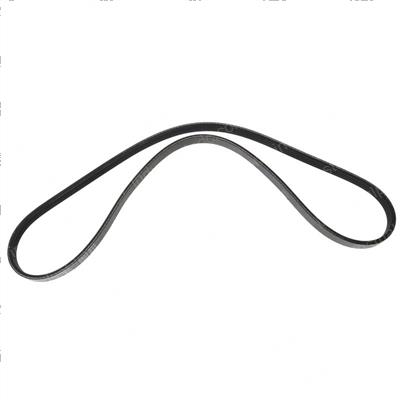 Picture of Belt
