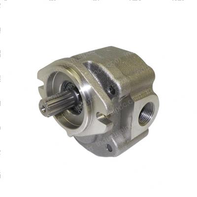 Picture of Pump Assembly - Oil