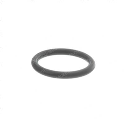 Picture of O-Ring