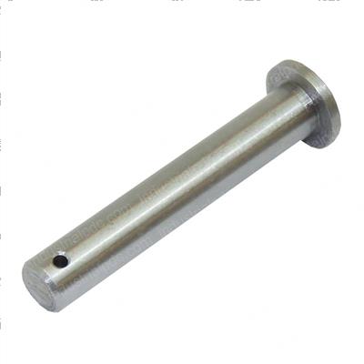 Picture of Bolt