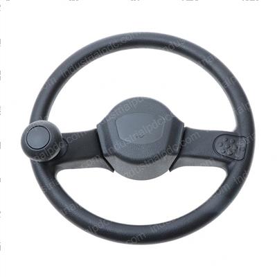 Picture of Steering Wheel