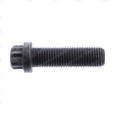 Picture of Bolt - 12pt Flange