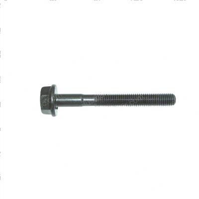 Picture of Screw