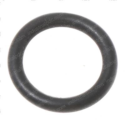 Picture of O-Ring
