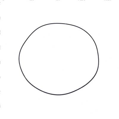 Picture of O-Ring