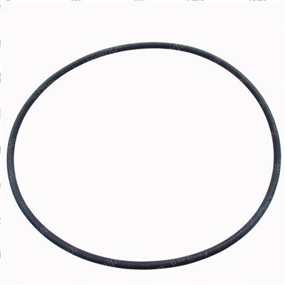 Picture of O-Ring