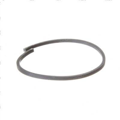 Picture of Ring Piston