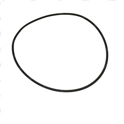 Picture of O-Ring