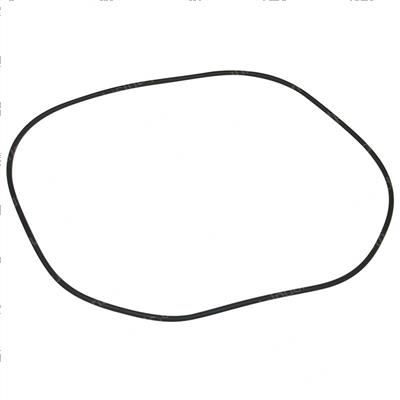 Picture of O-Ring