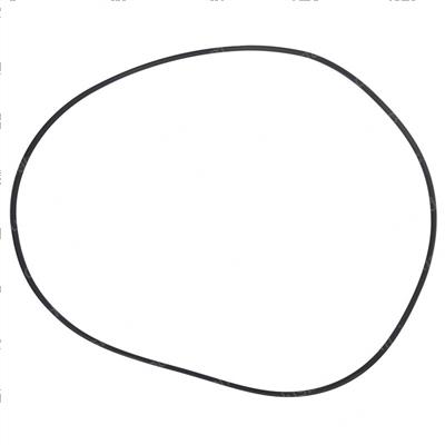 Picture of O-Ring