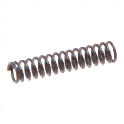 Picture of Spring (for Stator)