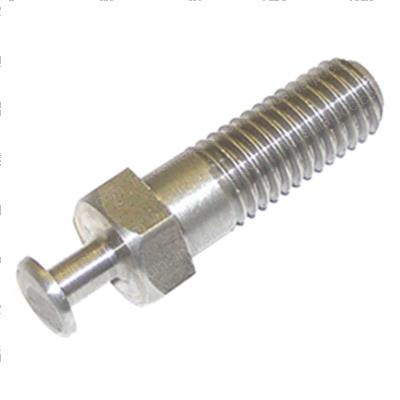Picture of Bolt