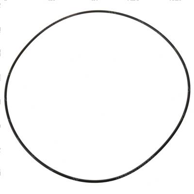 Picture of O-Ring