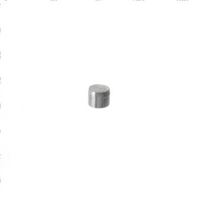 Picture of Plug