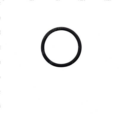 Picture of O-Ring, 1 Pc