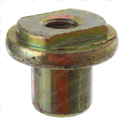 Picture of Nut