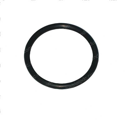 Picture of O-Ring