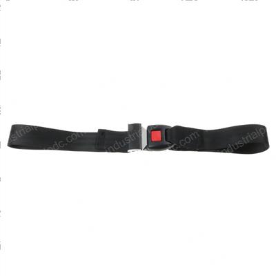 Picture of Seat Belt