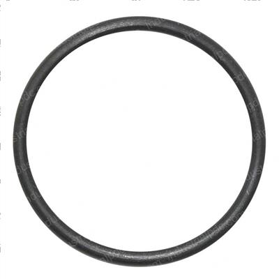 Picture of Seal