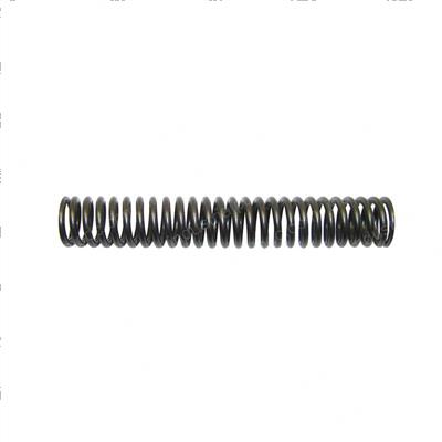 Picture of Spring - Accumulator