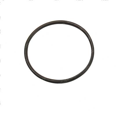 Picture of O-Ring