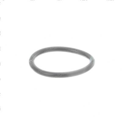 Picture of O-Ring