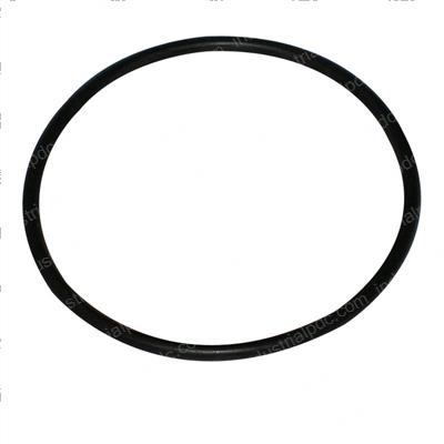Picture of O-Ring