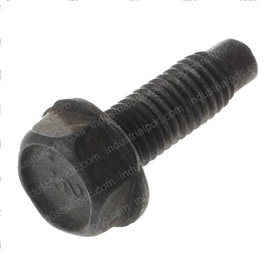 Picture of Bolt