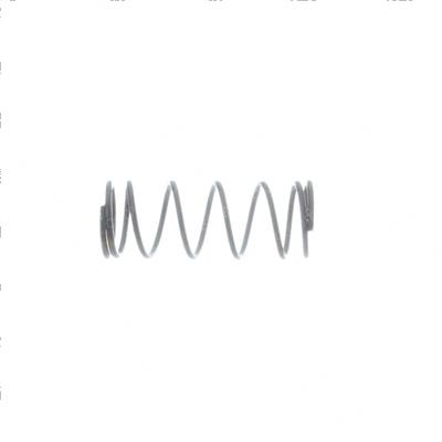 Picture of Spring - Safety