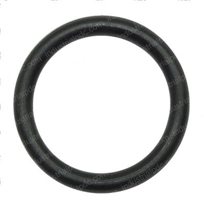 Picture of O-Ring
