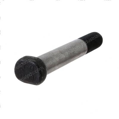 Picture of Bolt