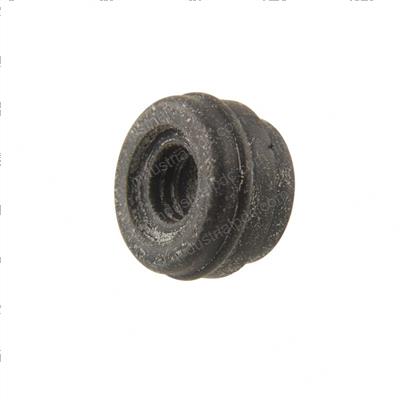 Picture of Seal
