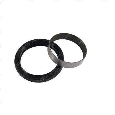 Picture of Seal - Oil