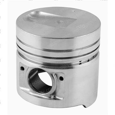 Picture of Piston - .25mm W/Pin